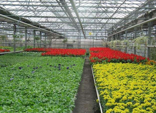 �������Ҵ���